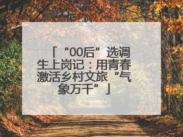 “00后”选调生上岗记：用青春激活乡村文旅“气象万千”