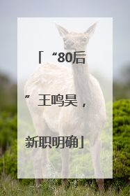 “80后”王鸣昊，新职明确