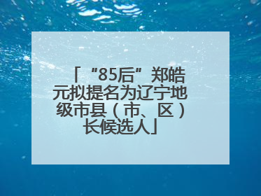 “85后”郑皓元拟提名为辽宁地级市县（市、区）长候选人