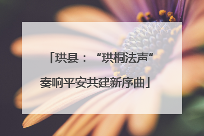 珙县：“珙桐法声”奏响平安共建新序曲