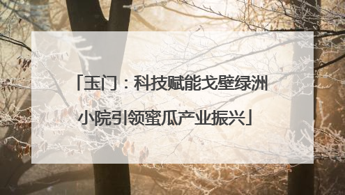 玉门：科技赋能戈壁绿洲 小院引领蜜瓜产业振兴