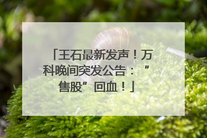 王石最新发声！万科晚间突发公告：“售股”回血！
