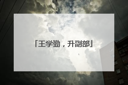 王学勤，升副部