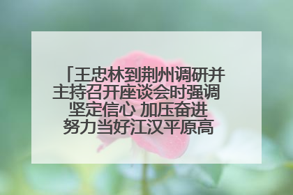 王忠林到荆州调研并主持召开座谈会时强调 坚定信心 加压奋进 努力当好江汉平原高质量发展排头兵