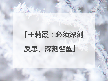 王莉霞：必须深刻反思、深刻警醒