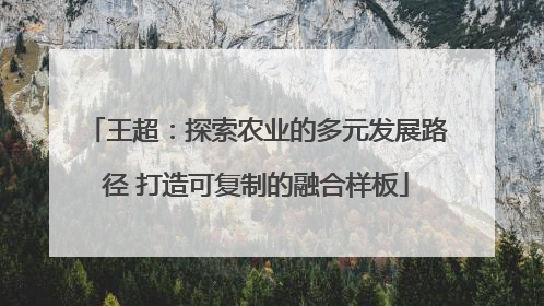 王超：探索农业的多元发展路径 打造可复制的融合样板
