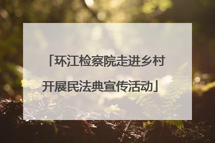 环江检察院走进乡村开展民法典宣传活动