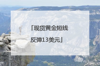 现货黄金短线反弹13美元