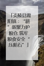 炎陵县霞阳镇：“耕”新聚力护粮仓 筑牢粮食安全“压舱石”