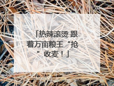 热辣滚烫 跟着万亩粮王“抢”收麦！