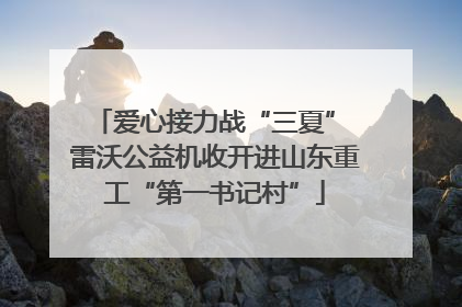 爱心接力战“三夏” 雷沃公益机收开进山东重工“第一书记村”