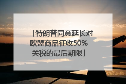 特朗普同意延长对欧盟商品征收50%关税的最后期限