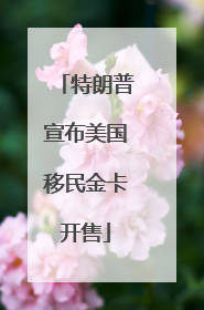 特朗普宣布美国移民金卡开售
