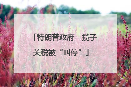 特朗普政府一揽子关税被“叫停”