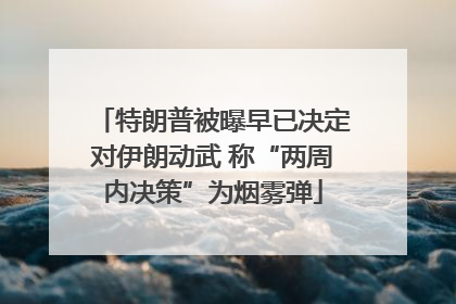 特朗普被曝早已决定对伊朗动武 称“两周内决策”为烟雾弹
