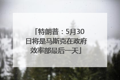 特朗普：5月30日将是马斯克在政府效率部最后一天