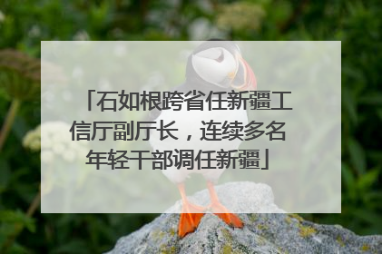 石如根跨省任新疆工信厅副厅长，连续多名年轻干部调任新疆