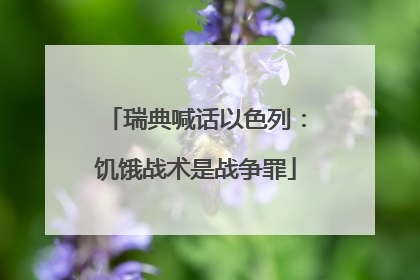 瑞典喊话以色列：饥饿战术是战争罪
