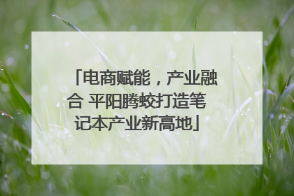 电商赋能，产业融合 平阳腾蛟打造笔记本产业新高地