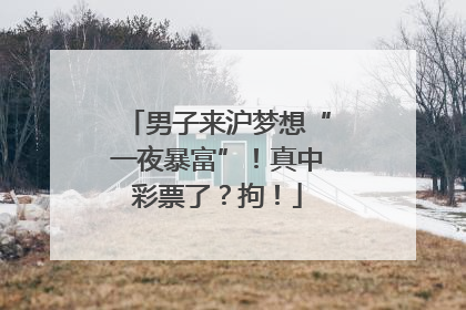 男子来沪梦想“一夜暴富”！真中彩票了？拘！