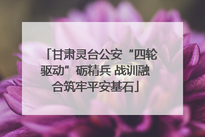 甘肃灵台公安“四轮驱动”砺精兵 战训融合筑牢平安基石
