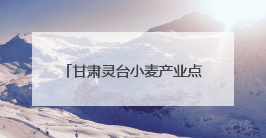 甘肃灵台小麦产业点燃乡村振兴新引擎