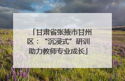 甘肃省张掖市甘州区：“沉浸式”研训助力教师专业成长