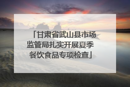 甘肃省武山县市场监管局扎实开展夏季餐饮食品专项检查