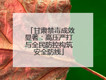 甘肃禁毒成效显著：高压严打与全民防控构筑安全防线