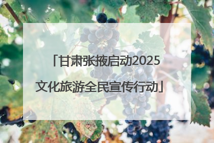 甘肃张掖启动2025文化旅游全民宣传行动
