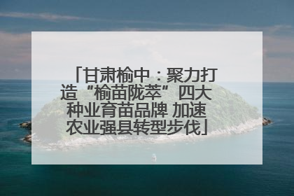 甘肃榆中：聚力打造“榆苗陇萃”四大种业育苗品牌 加速农业强县转型步伐