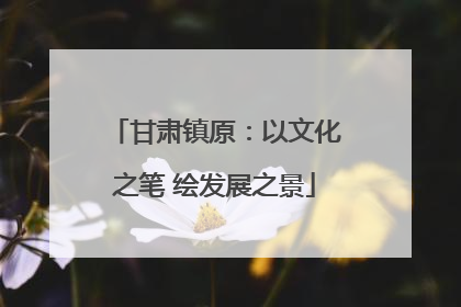 甘肃镇原：以文化之笔 绘发展之景