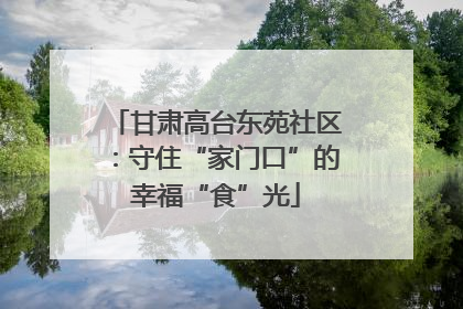 甘肃高台东苑社区：守住“家门口”的幸福“食”光