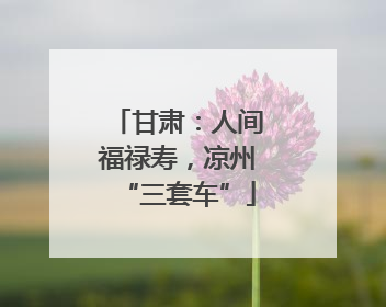 甘肃：人间福禄寿，凉州“三套车”