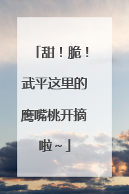 甜！脆！武平这里的鹰嘴桃开摘啦～