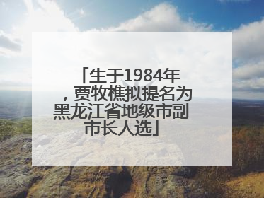 生于1984年，贾牧樵拟提名为黑龙江省地级市副市长人选