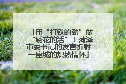用“打铁的劲”做“绣花的活”！菏泽市委书记的发言折射一座城的炽热情怀