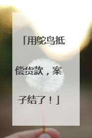 用鸵鸟抵偿货款，案子结了！