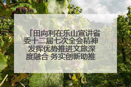 田向利在乐山宣讲省委十二届七次全会精神 发挥优势推进文旅深度融合 务实创新助推高质量发展