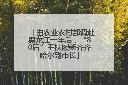 由农业农村部调赴黑龙江一年后，“80后”王杕履新齐齐哈尔副市长