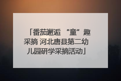 番茄邂逅 “童”趣采摘 河北唐县第二幼儿园研学采摘活动