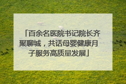 百余名医院书记院长齐聚聊城，共话母婴健康月子服务高质量发展