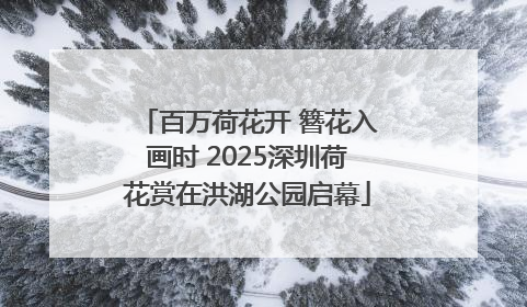百万荷花开 簪花入画时 2025深圳荷花赏在洪湖公园启幕