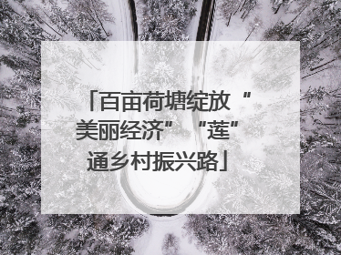 百亩荷塘绽放“美丽经济”“莲”通乡村振兴路