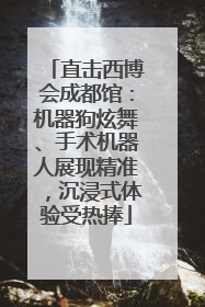 直击西博会成都馆：机器狗炫舞、手术机器人展现精准，沉浸式体验受热捧