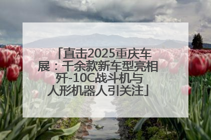 直击2025重庆车展：千余款新车型亮相 歼-10C战斗机与人形机器人引关注