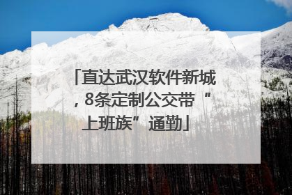 直达武汉软件新城，8条定制公交带“上班族”通勤