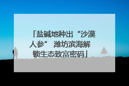 盐碱地种出“沙漠人参” 潍坊滨海解锁生态致富密码