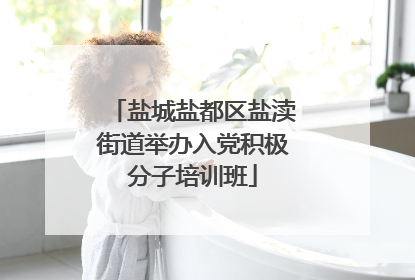 盐城盐都区盐渎街道举办入党积极分子培训班
