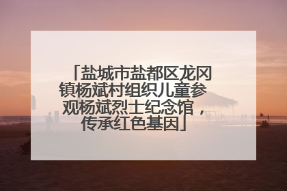 盐城市盐都区龙冈镇杨斌村组织儿童参观杨斌烈士纪念馆，传承红色基因